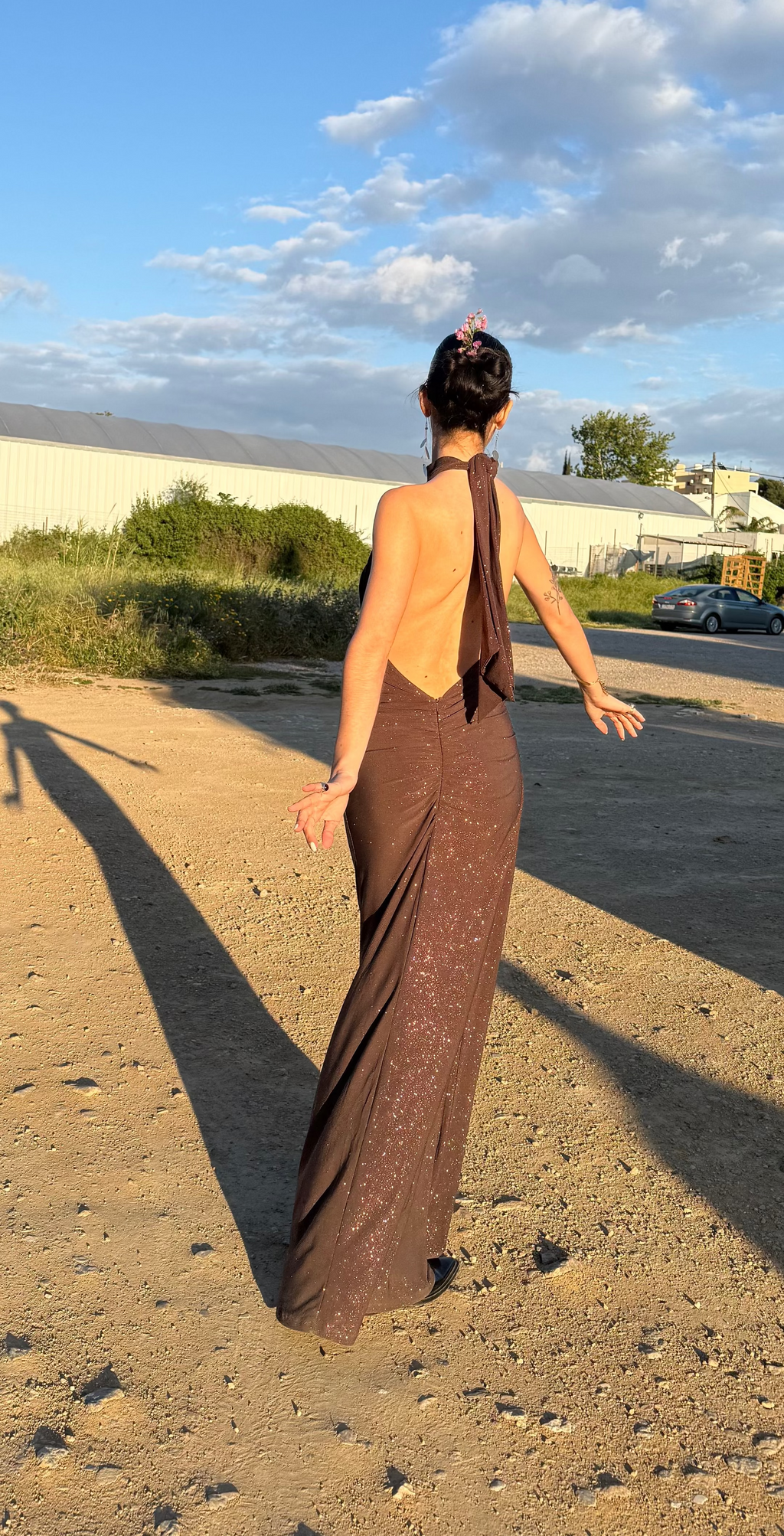 Selene dress brown