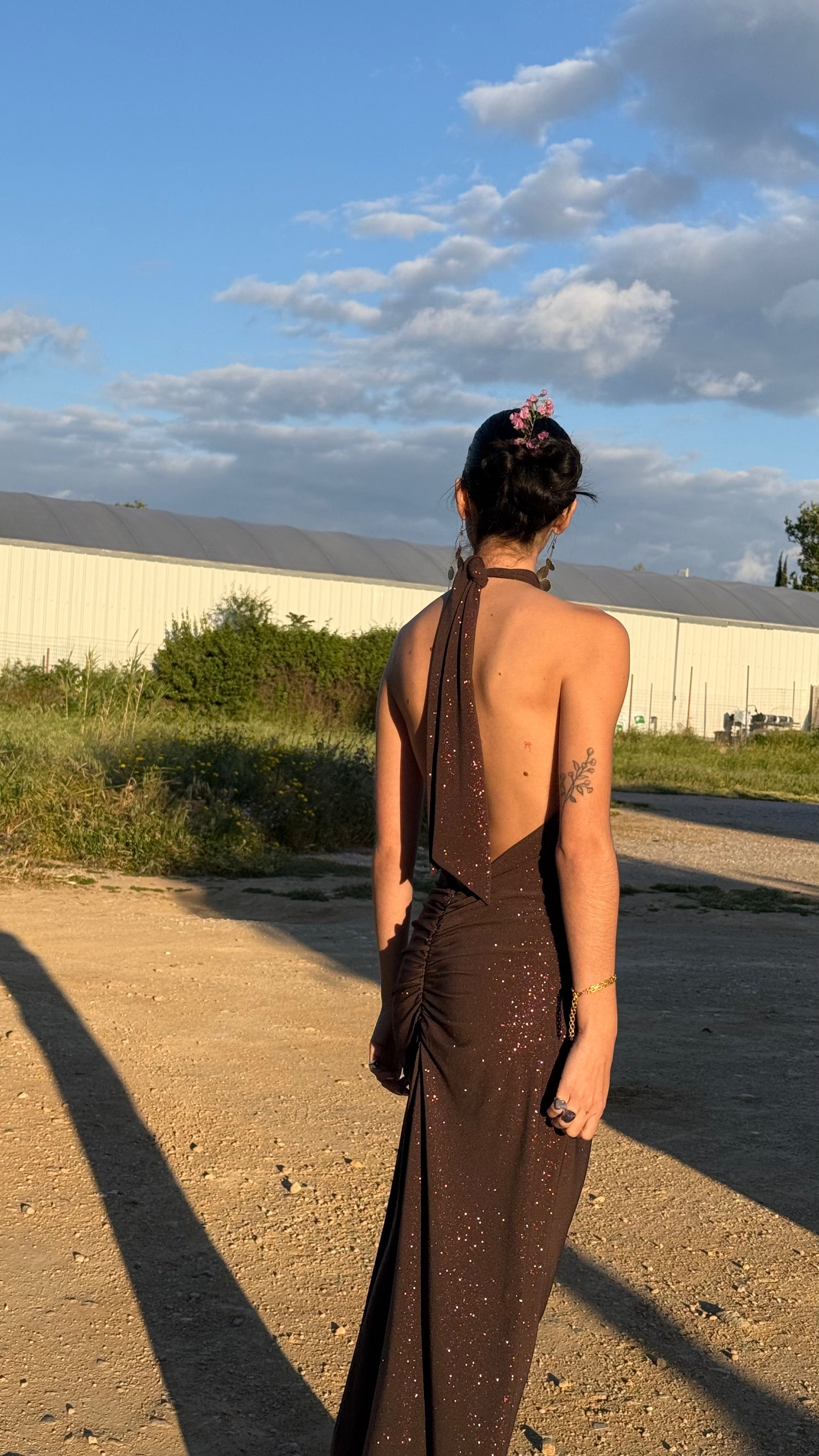 Selene dress brown